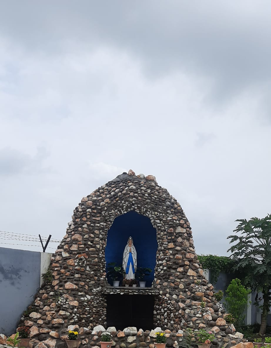 FSMA GENERALATE